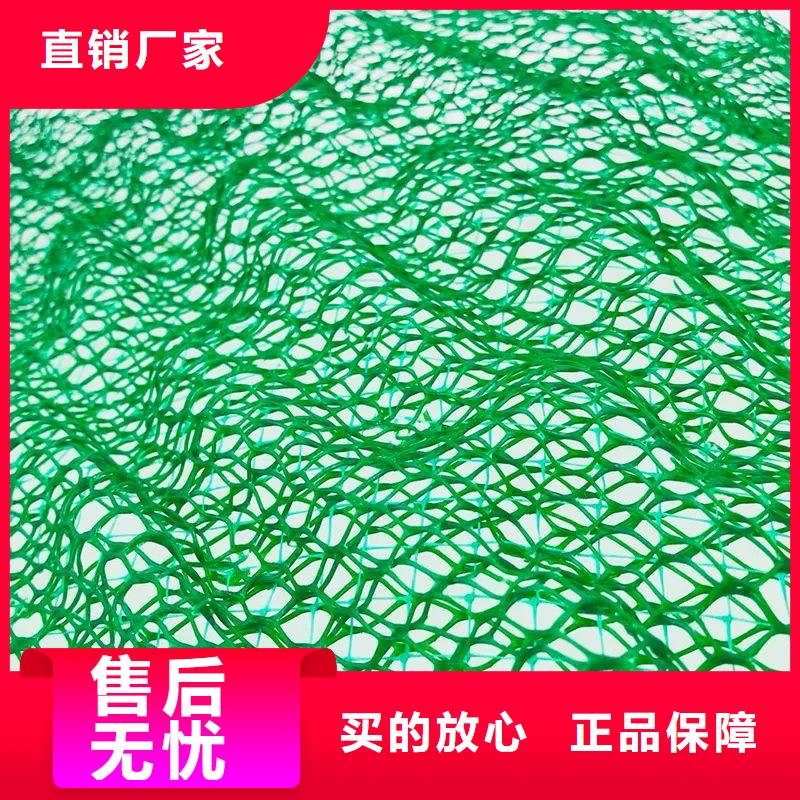 附近《金鸿耀》专业销售塑料三维土工网垫-保质