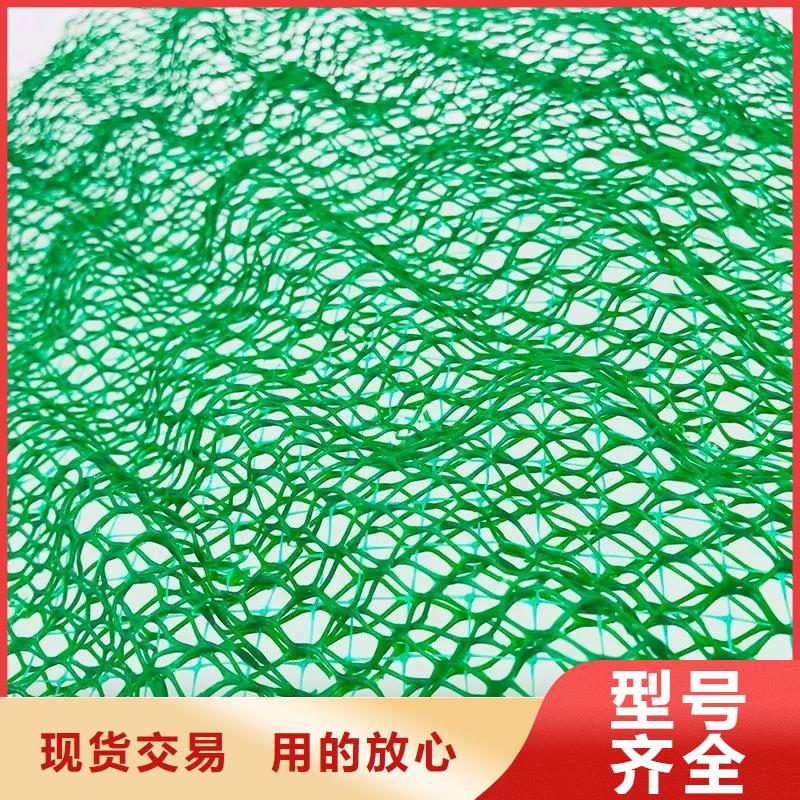 欢迎-安心购《金鸿耀》塑料三维土工网垫