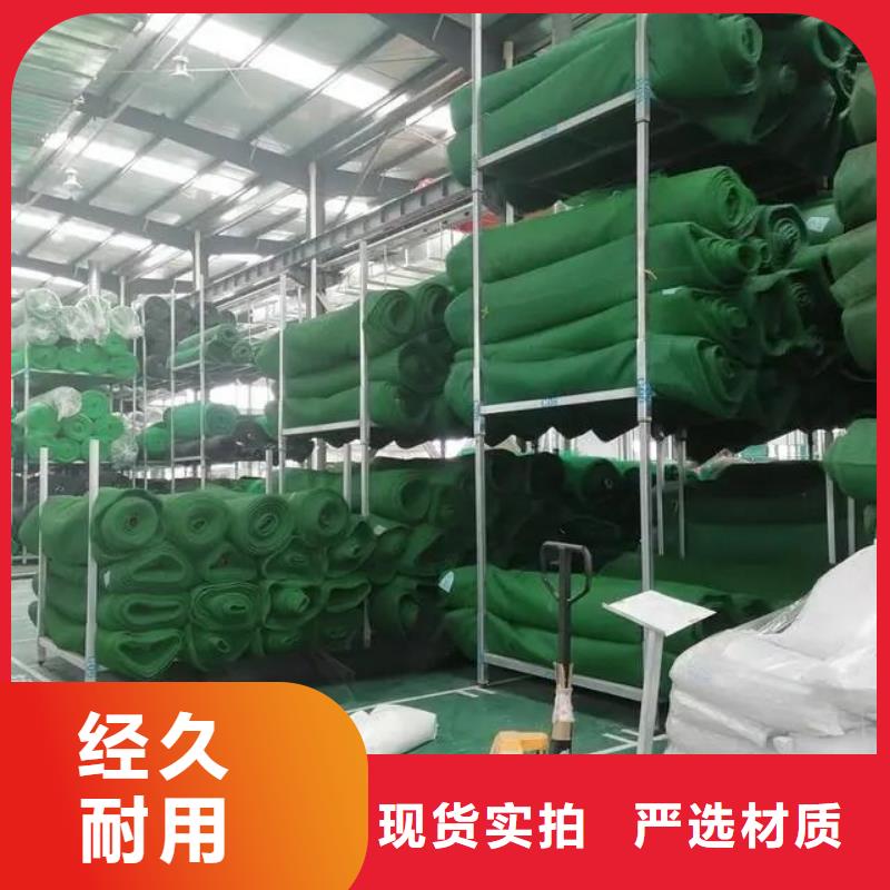 附近《金鸿耀》专业销售塑料三维土工网垫-保质