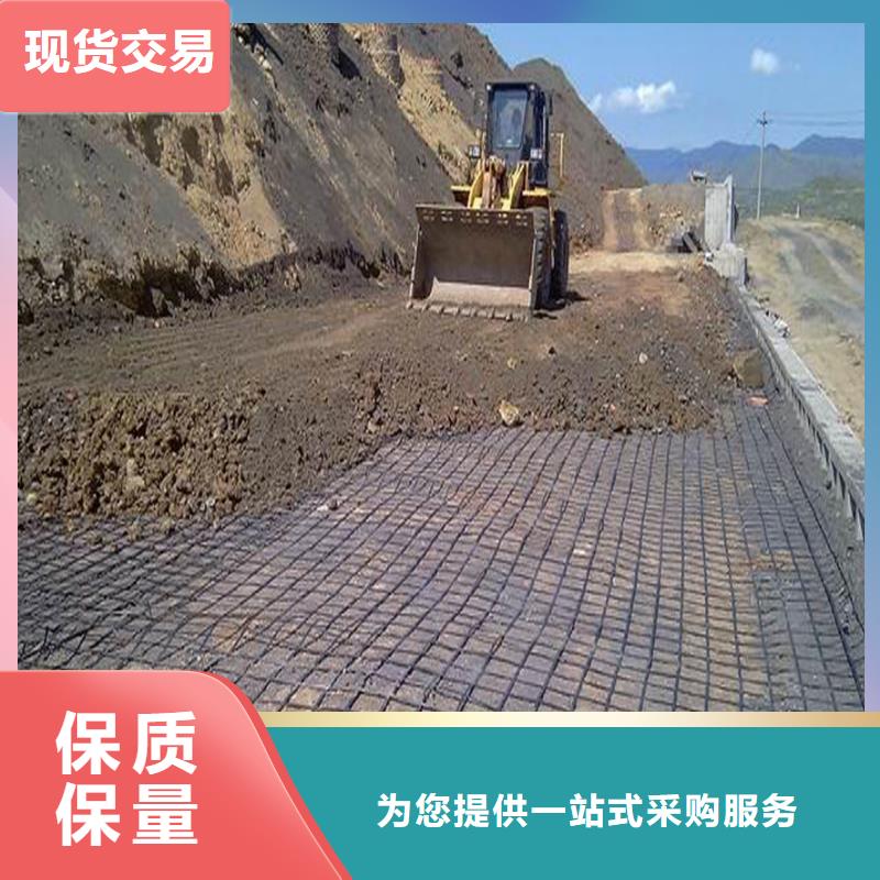 鋼塑土工格柵誠信廠家廠家