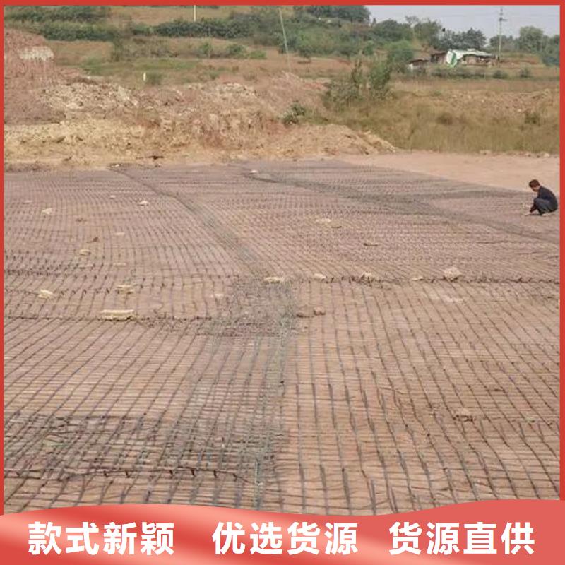 白沙縣土工格柵實(shí)力廠家廠家