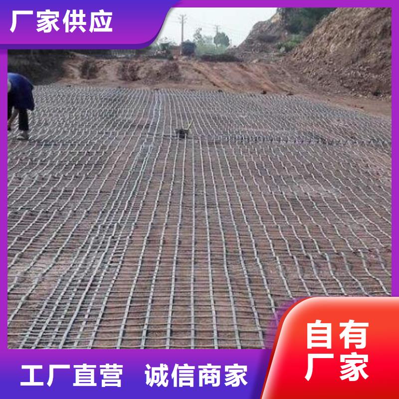 土工格柵土工膜款式多樣