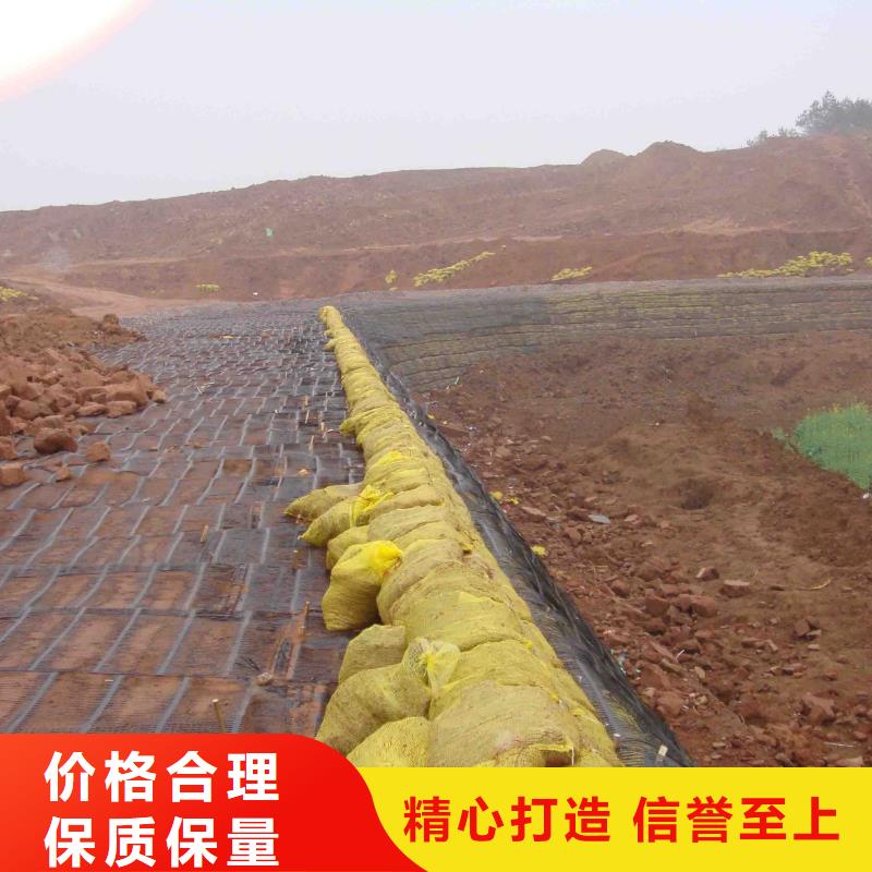 土工格柵信賴廠家