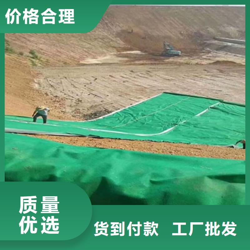 土工布止水銅片現(xiàn)貨銷售