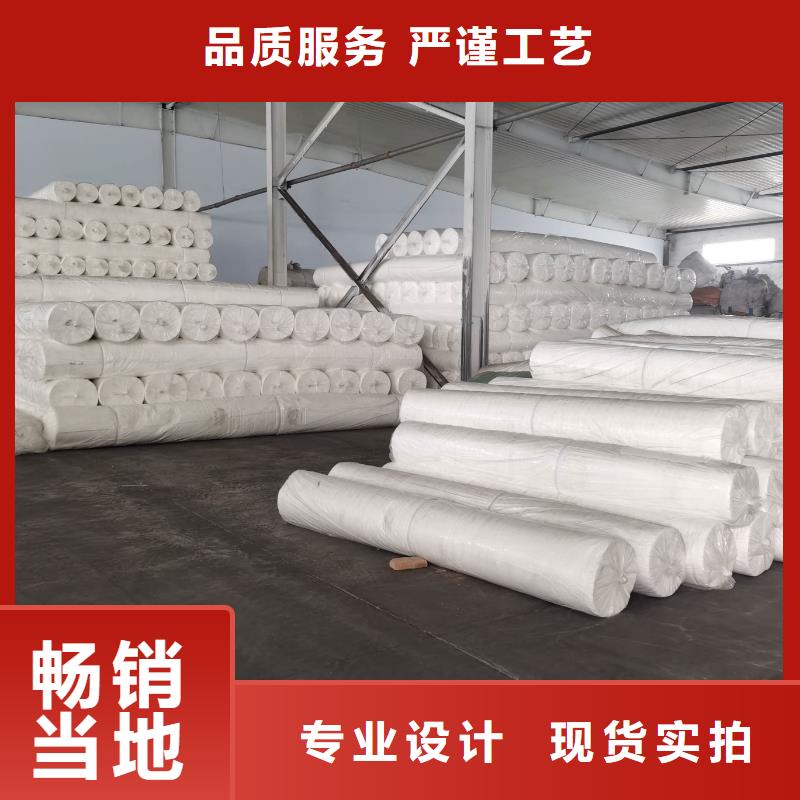 土工布土工格柵專業廠家