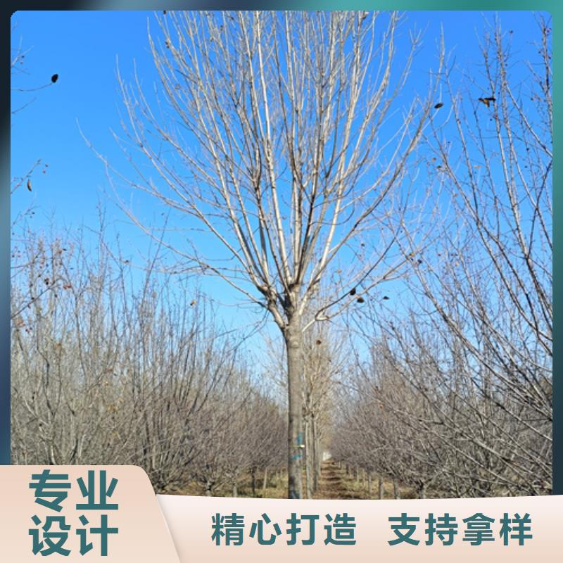 法桐國槐為您提供一站式采購服務