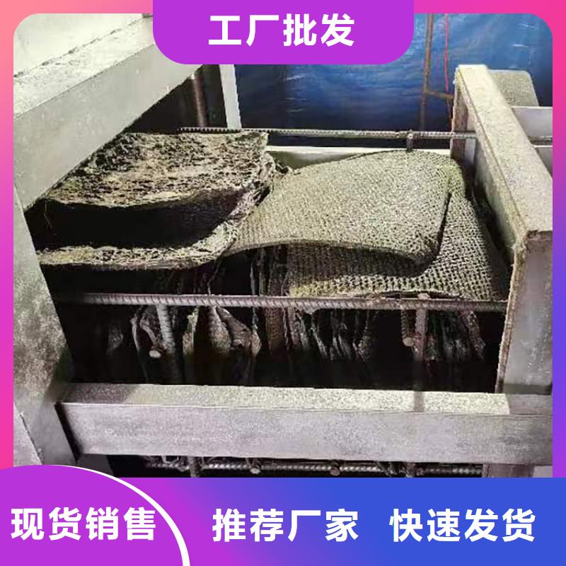 燒網爐面包生產線貨源充足