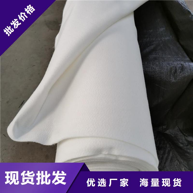 土工布雙向塑料土工格柵安心購