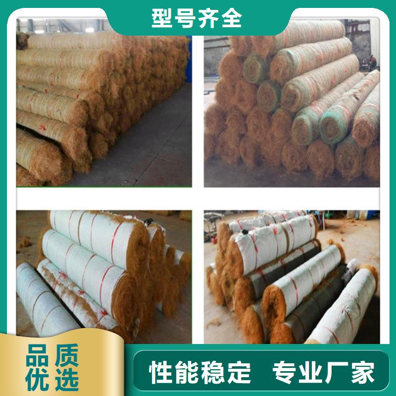 椰絲毯土工膜實(shí)拍展現(xiàn)