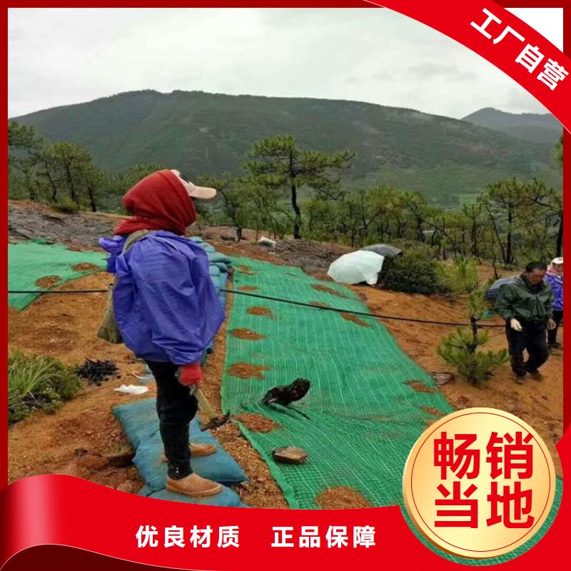 椰絲毯土工膜實(shí)拍展現(xiàn)