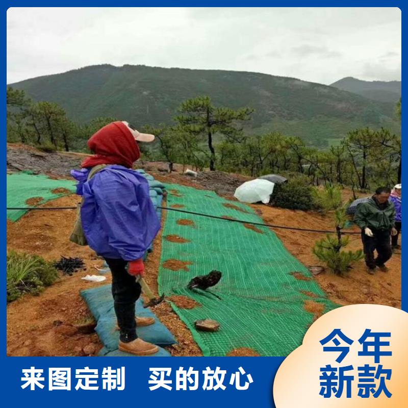 椰絲毯-軟式透水管歡迎來電詢價