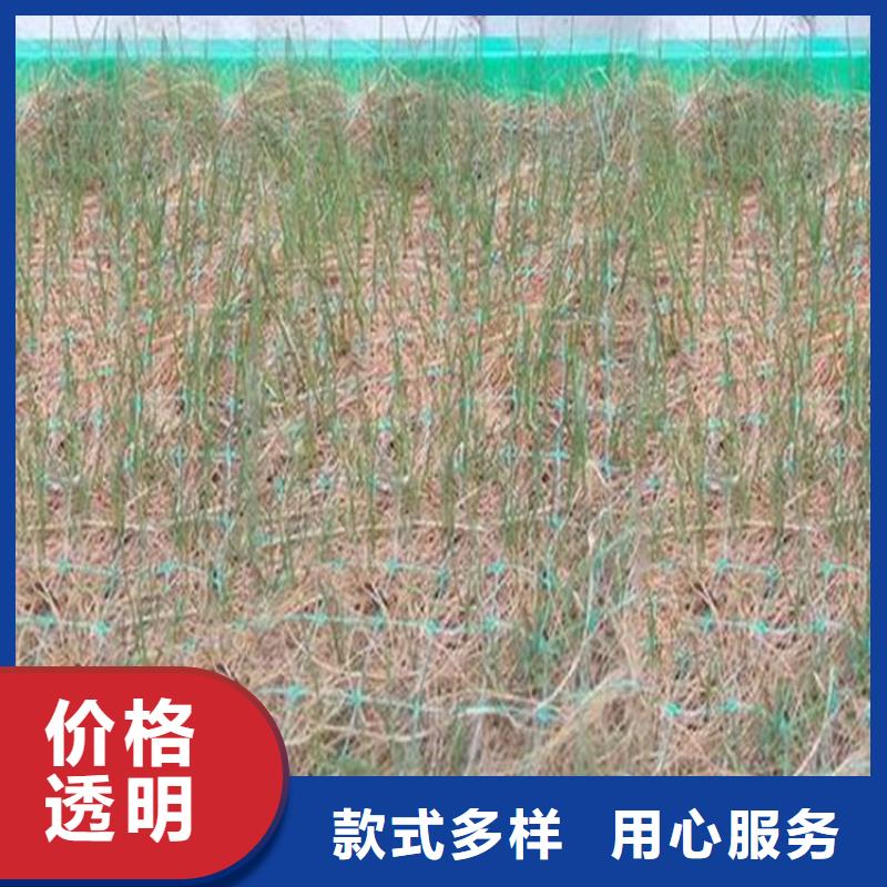 椰絲毯塑料盲溝可零售可批發