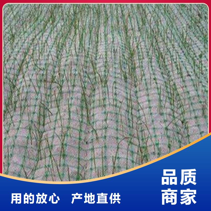 椰絲毯,土工格柵誠信商家服務熱情