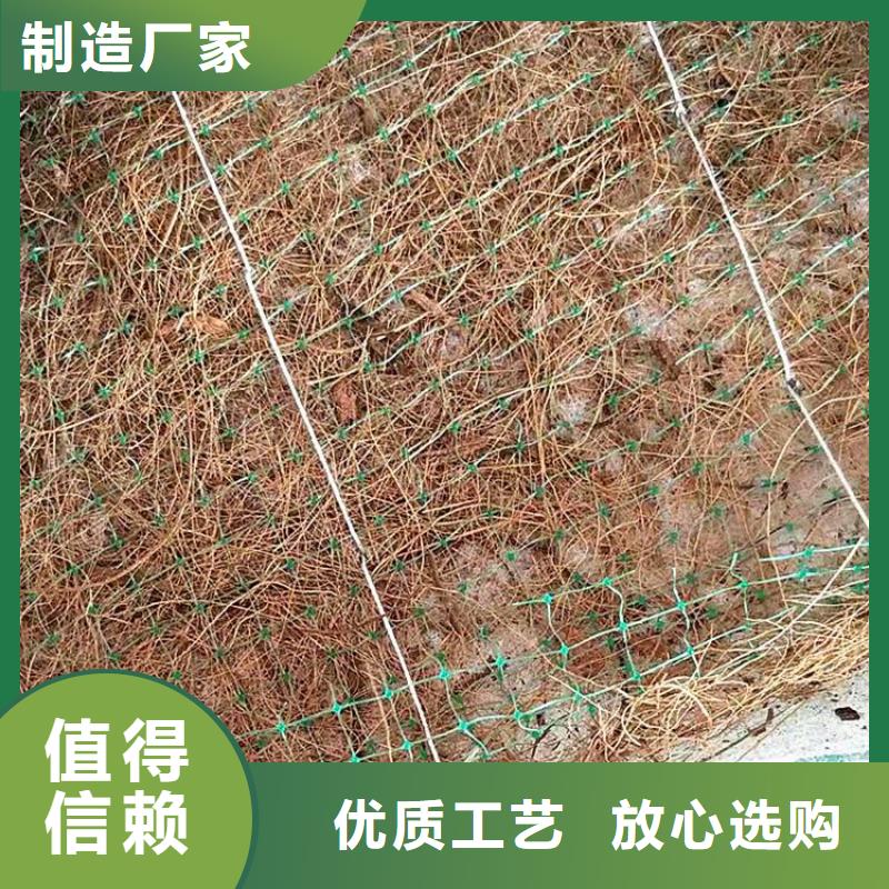 椰絲毯土工膜實(shí)拍展現(xiàn)