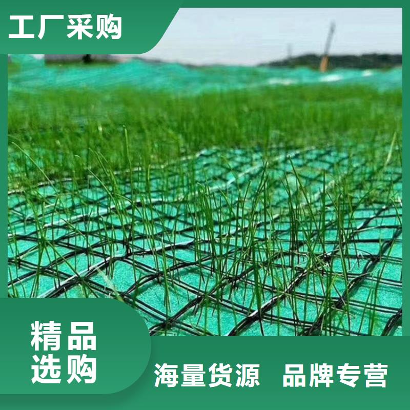 实体诚信厂家【鼎诺】生态环保草毯-植生椰丝毯施工方法