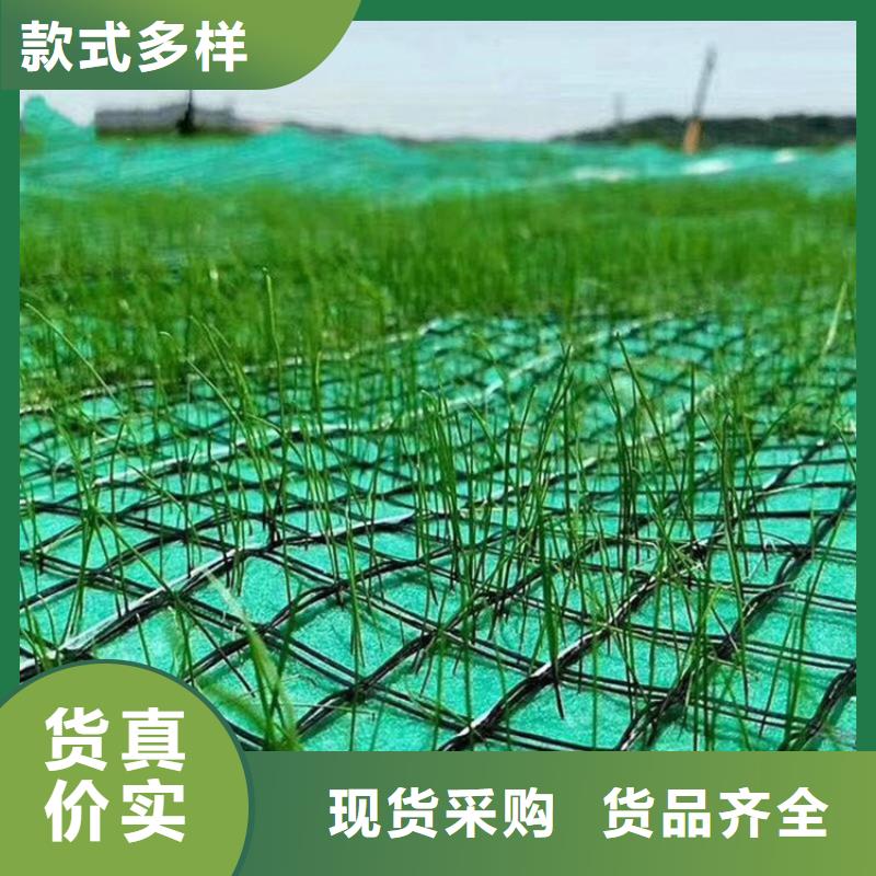 本地[鼎诺]生态环保草毯植物纤维毯施工资讯-已更新