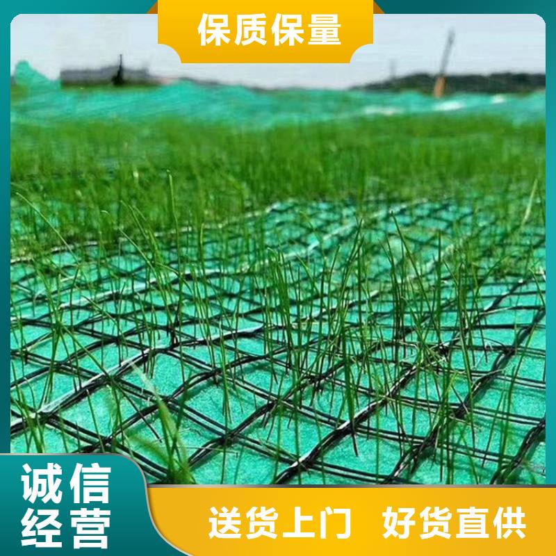 品质值得信赖(鼎诺)护坡植被植草毯-草种椰丝毯