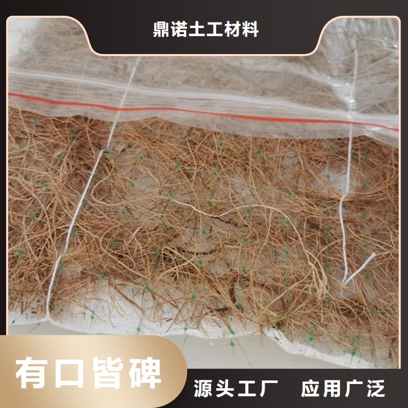 定制【鼎诺】生态环保草毯加筋抗冲生态毯市场
