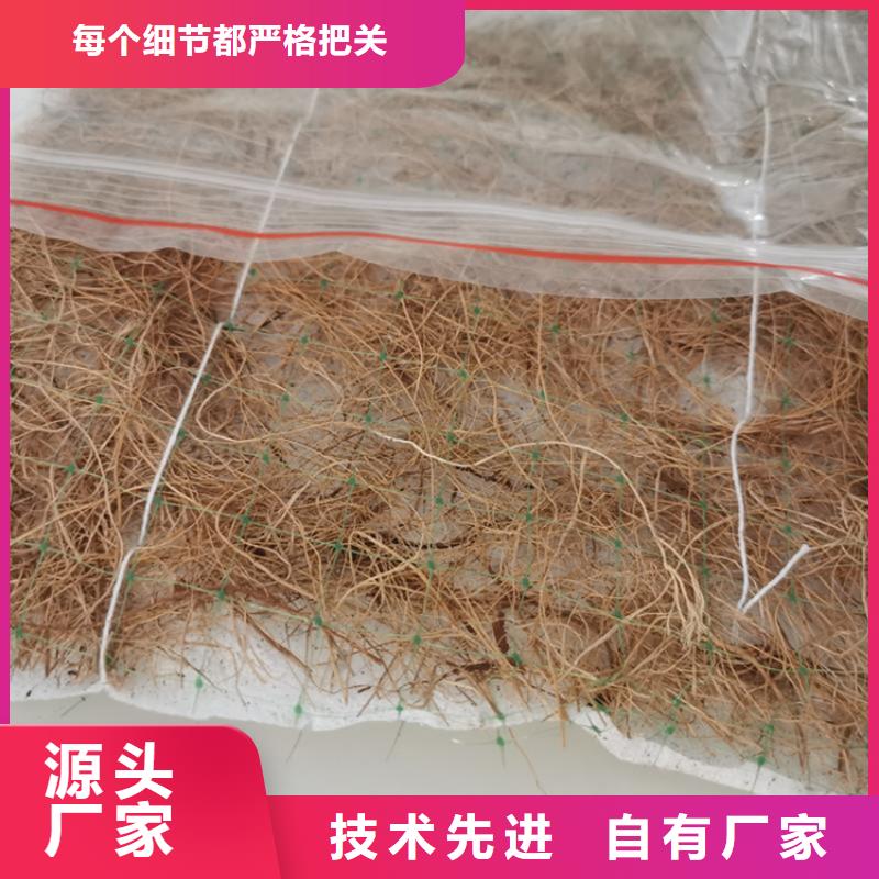选购[鼎诺]椰丝毯-椰丝植物毯-加筋复合环保草毯