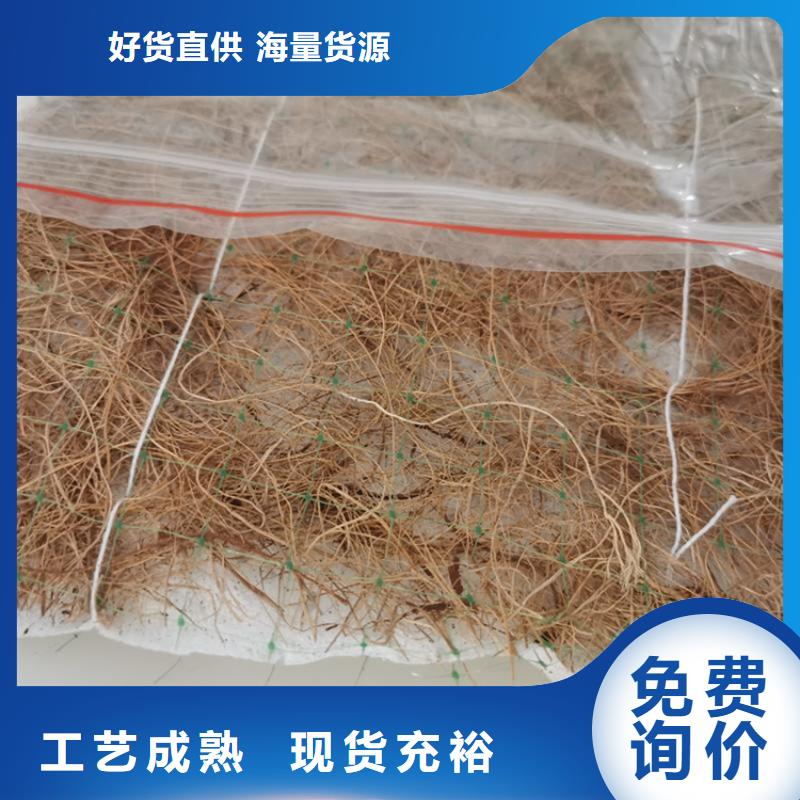 批发[鼎诺]护坡植被植草毯-椰纤植生毯 厂家代理