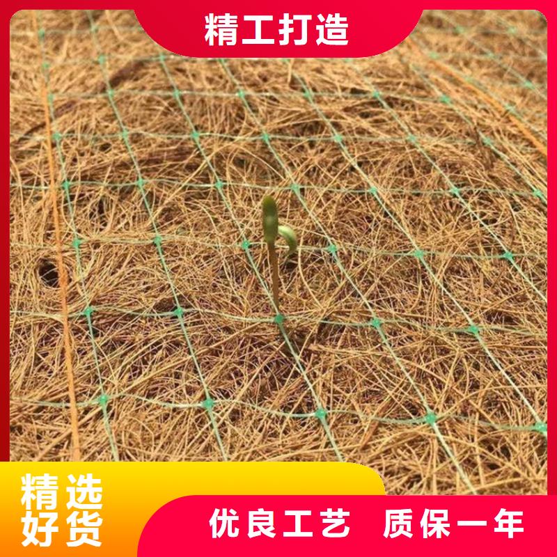 批发[鼎诺]护坡植被植草毯-椰纤植生毯 厂家代理