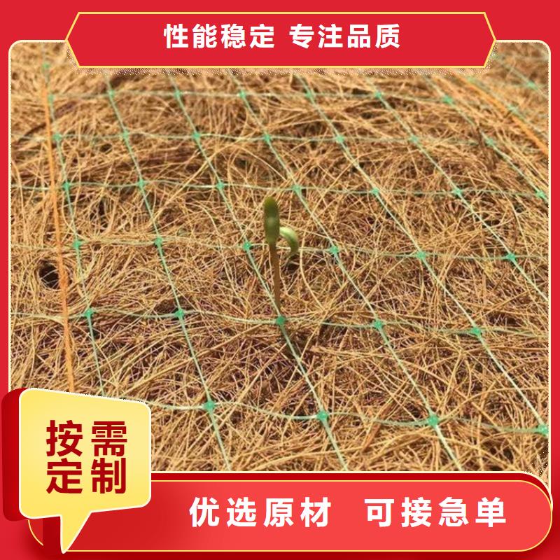 实体诚信厂家【鼎诺】生态环保草毯-植生椰丝毯施工方法