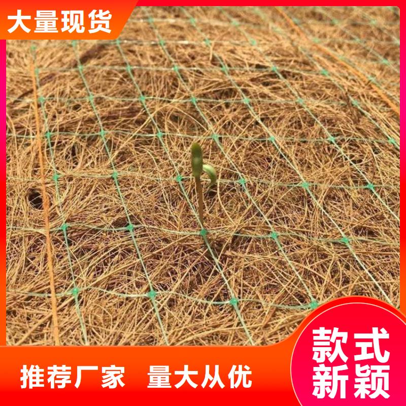 订购【鼎诺】植生椰丝毯施工范围