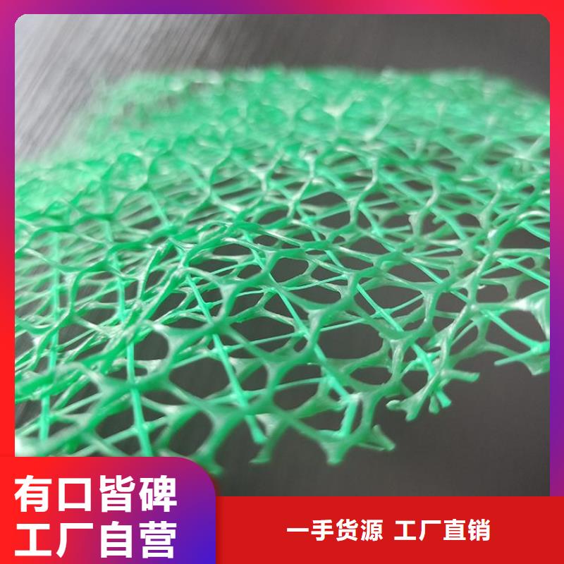 三維植被網玻纖格柵種類豐富