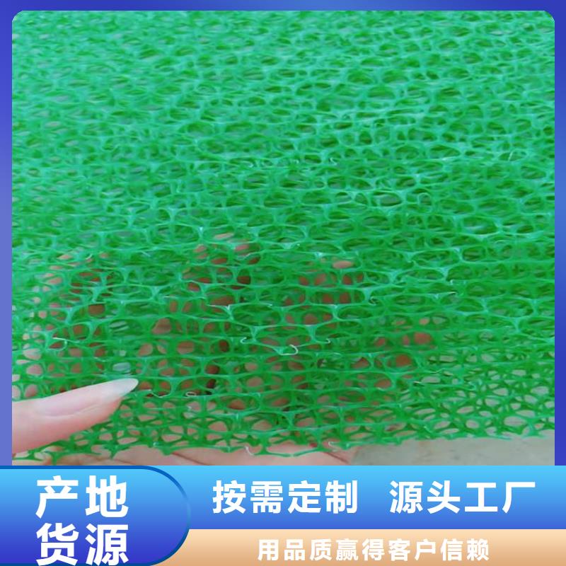 三維植被網,防水毯注重細節(jié)