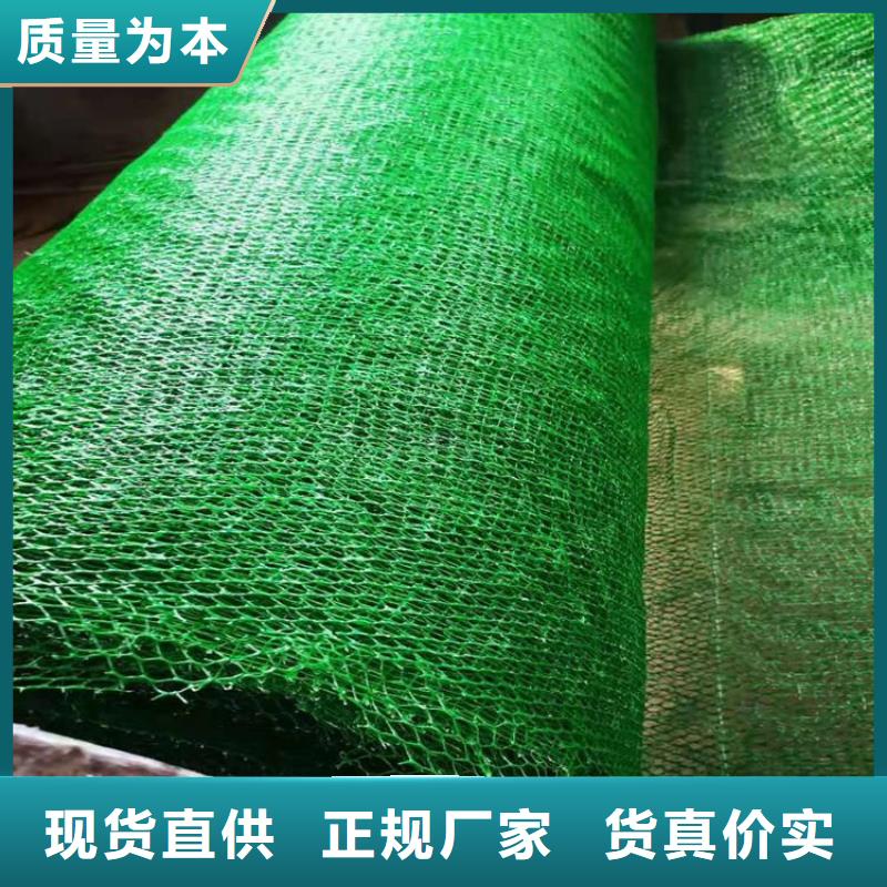 三維植被網,防水毯注重細節(jié)