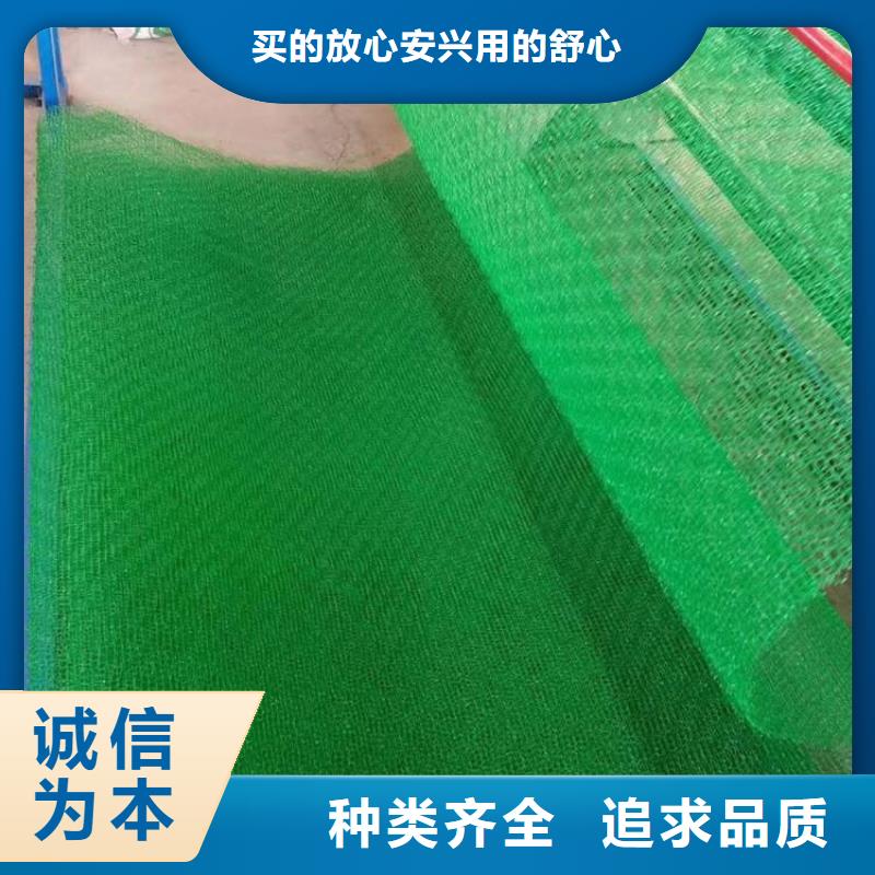三維植被網,防水毯注重細節(jié)