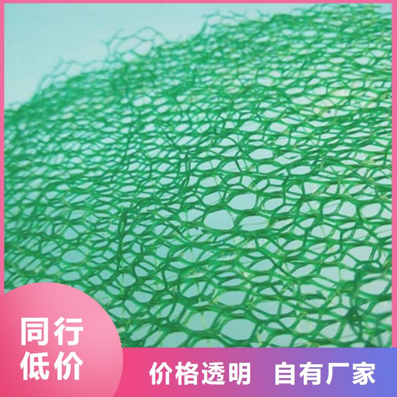 三維植被網【膨潤土防水毯】定制零售批發