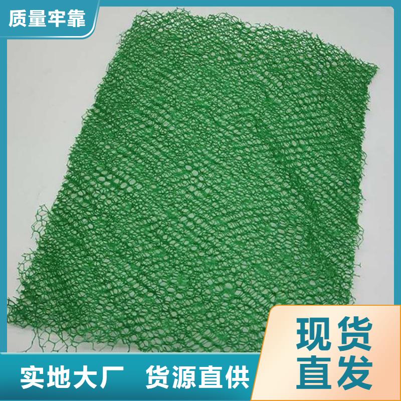 三維植被網止水帶廠家自營