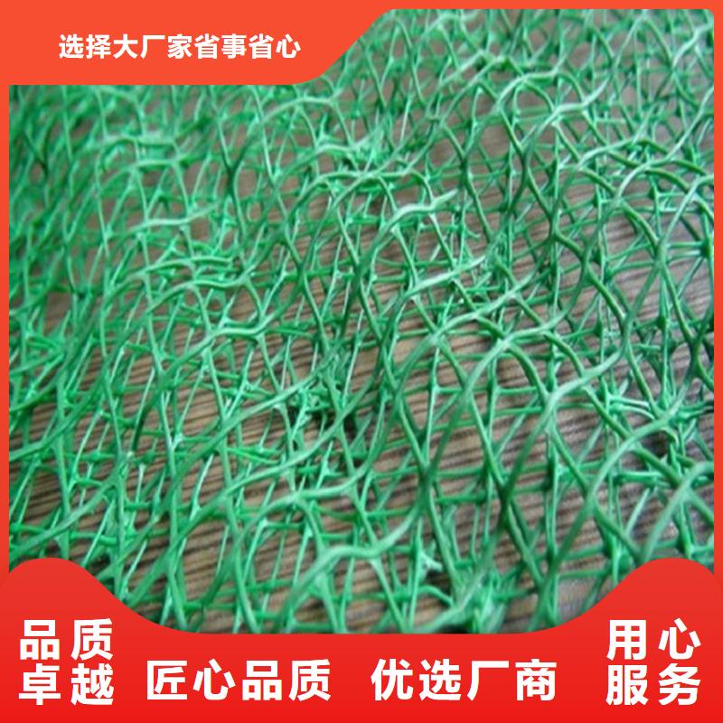 三維植被網玻纖格柵種類豐富