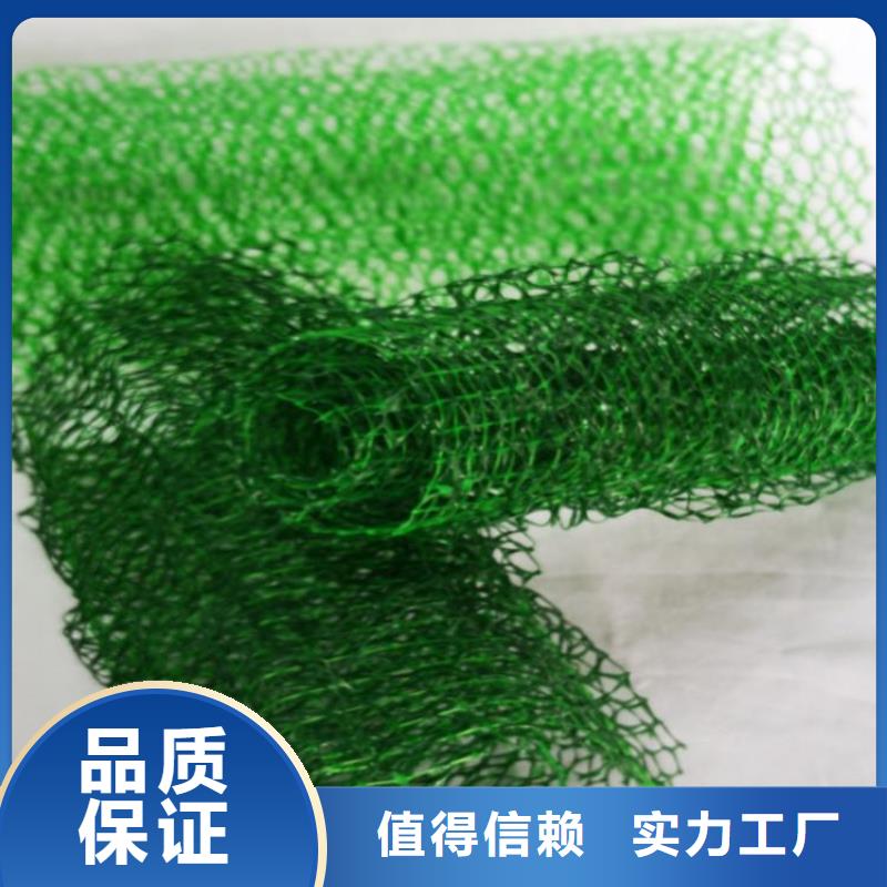 三維植被網【土工布】采購