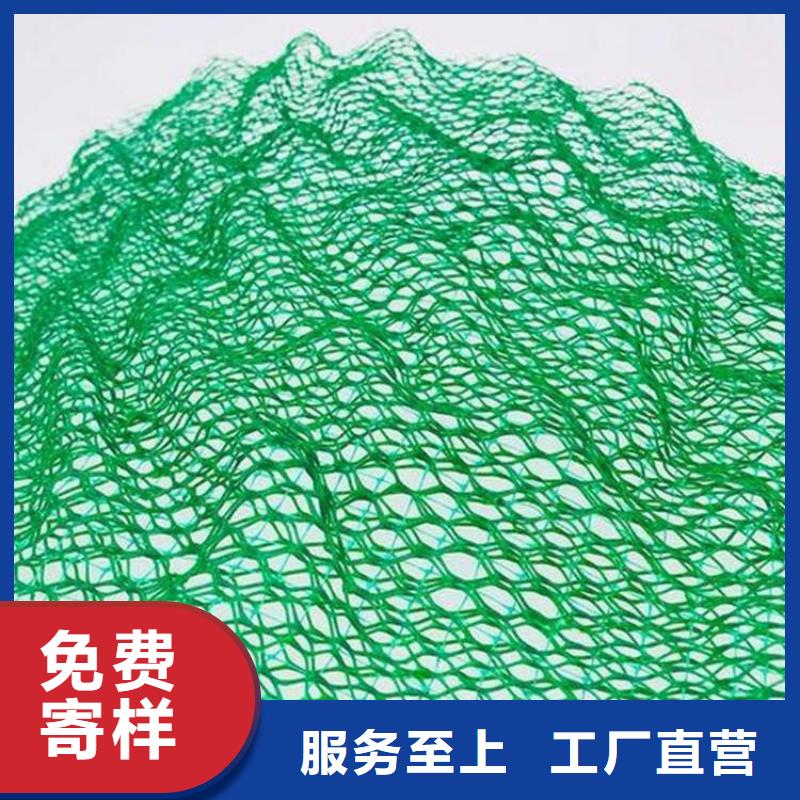 三維植被網玻纖格柵種類豐富