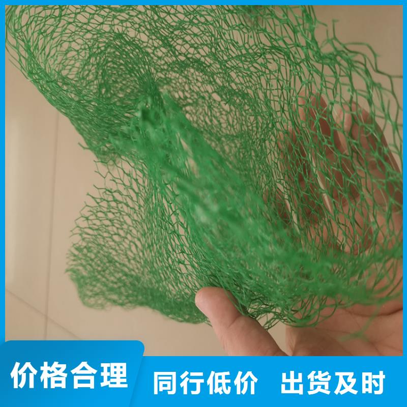 三維植被網,【植草格】真誠合作