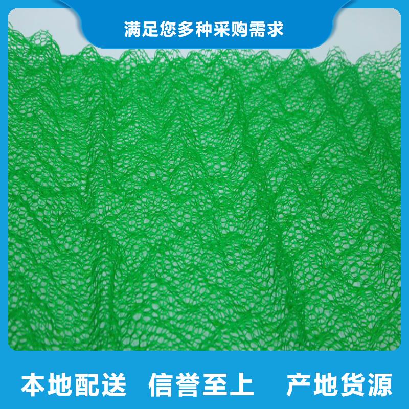 当地<鼎诺>EM4三维护坡植草网垫价格公道