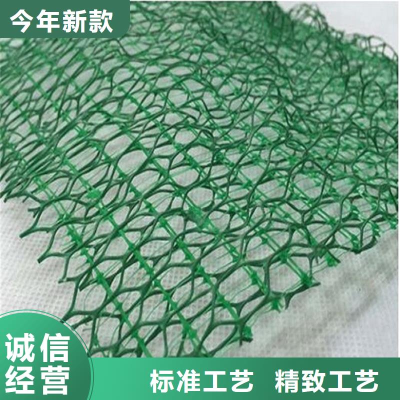 优选【鼎诺】三维土工网垫-三维植被网