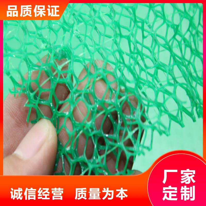 当地(鼎诺)EM2三维植被网-绿色三维土工网垫