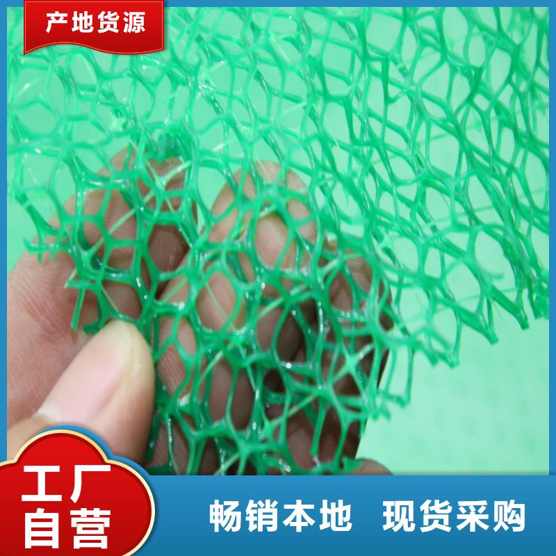 为您提供一站式采购服务(鼎诺)三维植被网加筋塑料