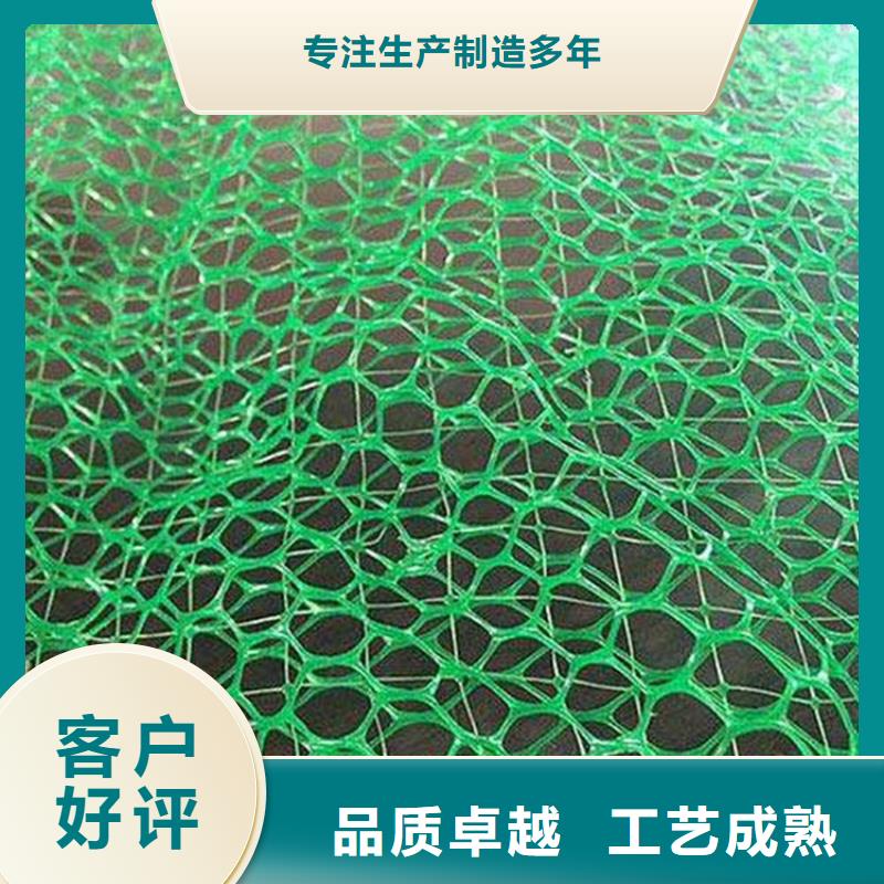 定制(鼎诺)三维土工网垫-EM3三维土工网垫