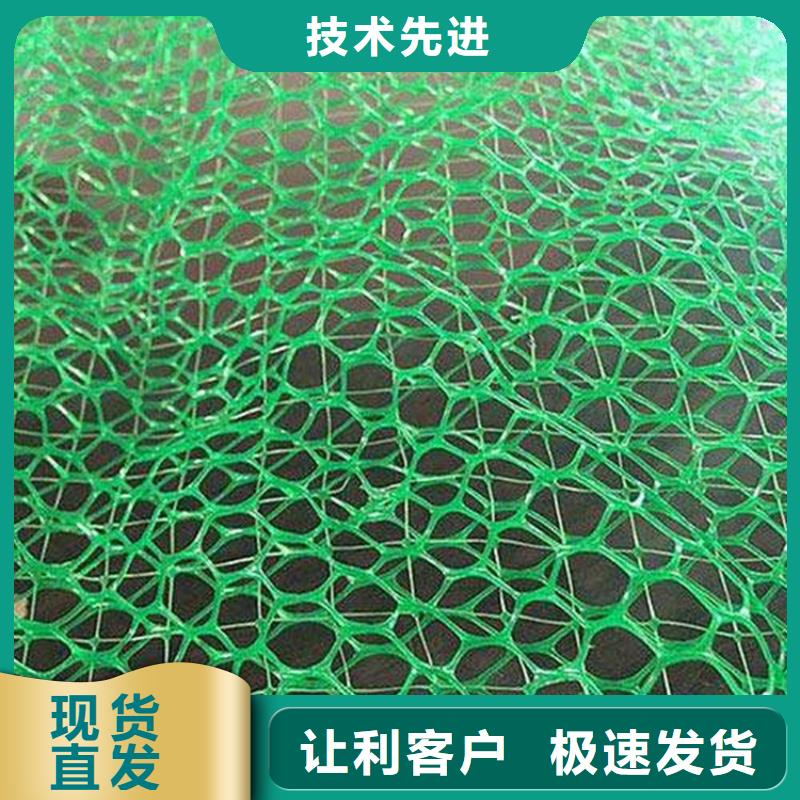 48小时发货《鼎诺》三维植被网HDPE土工膜精工制作