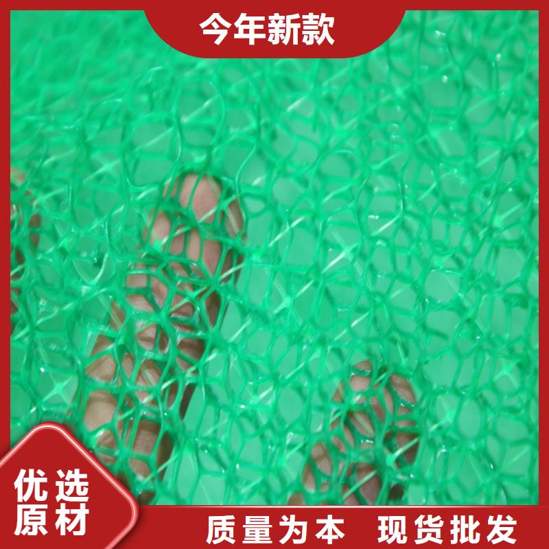 来图定制[鼎诺]三维固土网垫EM3三维土工网垫