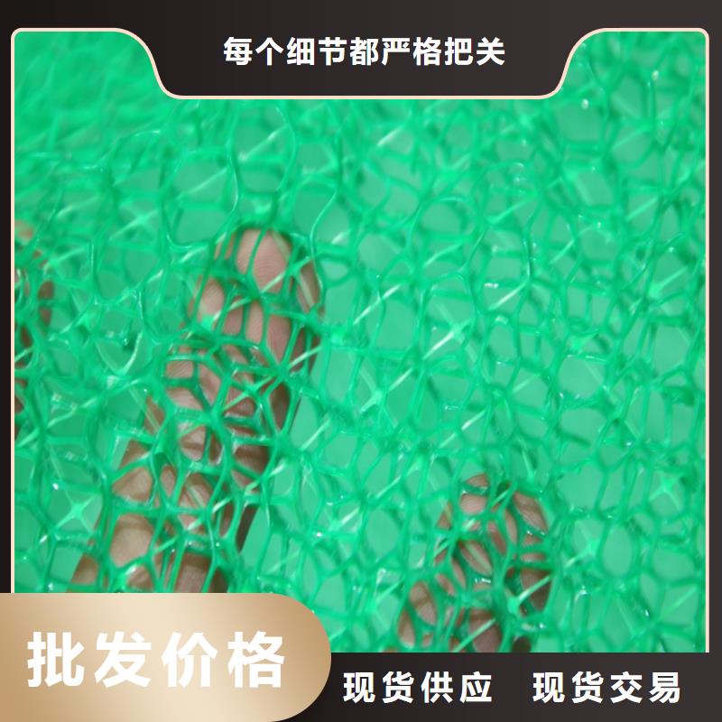 当地(鼎诺)EM2三维植被网-绿色三维土工网垫