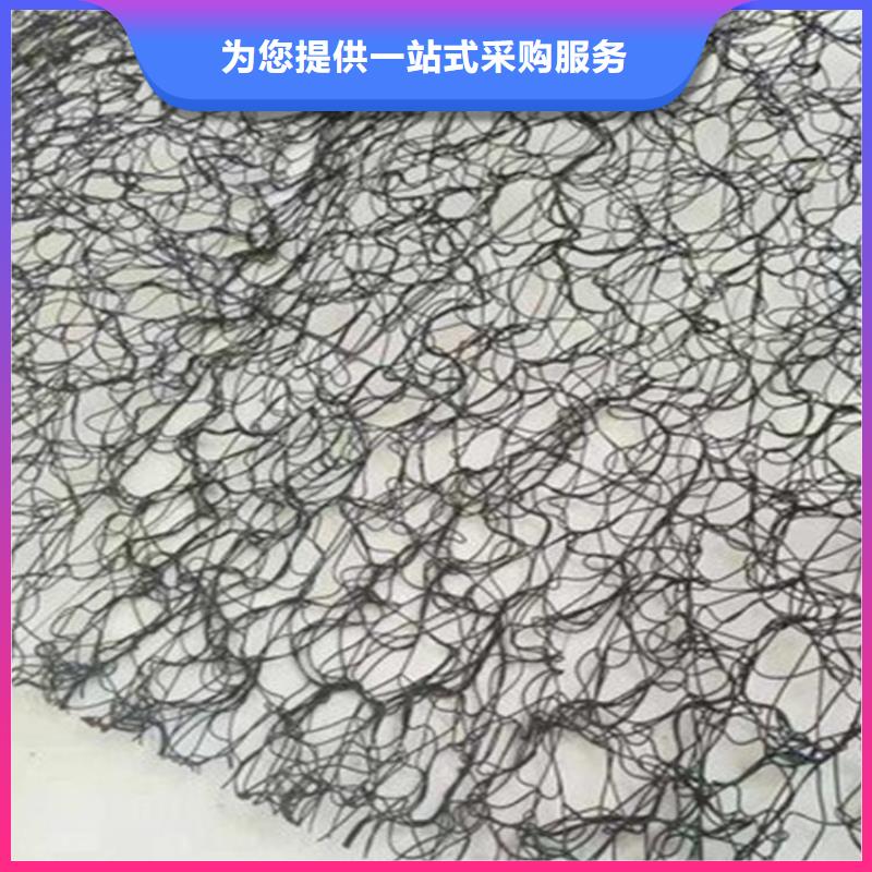 通風降噪絲網土工膜敢與同行比價格