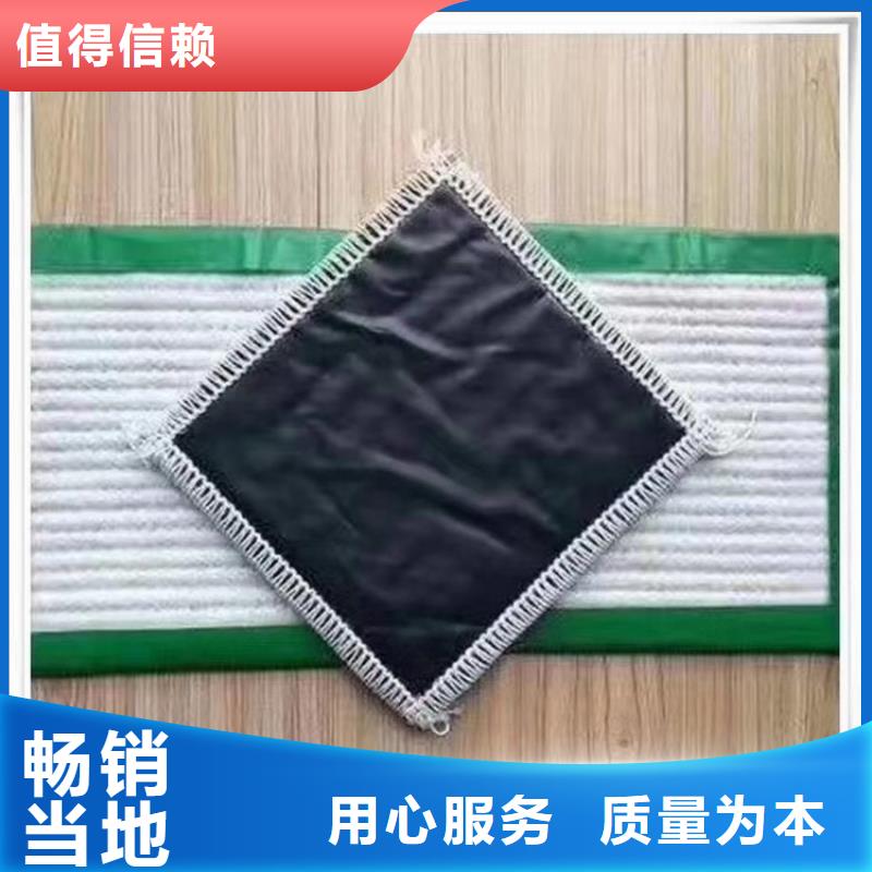 膨潤(rùn)土防水毯通風(fēng)降噪絲網(wǎng)全新升級(jí)品質(zhì)保障