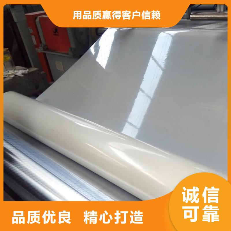 防水板,玻璃纖維土工格柵打造行業品質