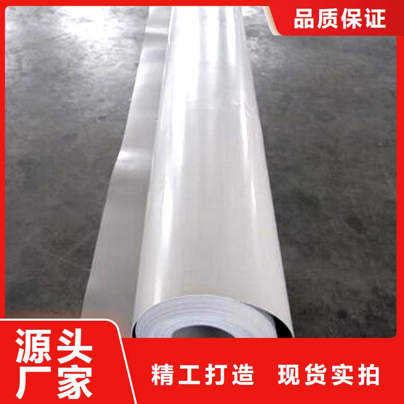 防水板玻璃纖維土工格柵廠家直銷規格多樣
