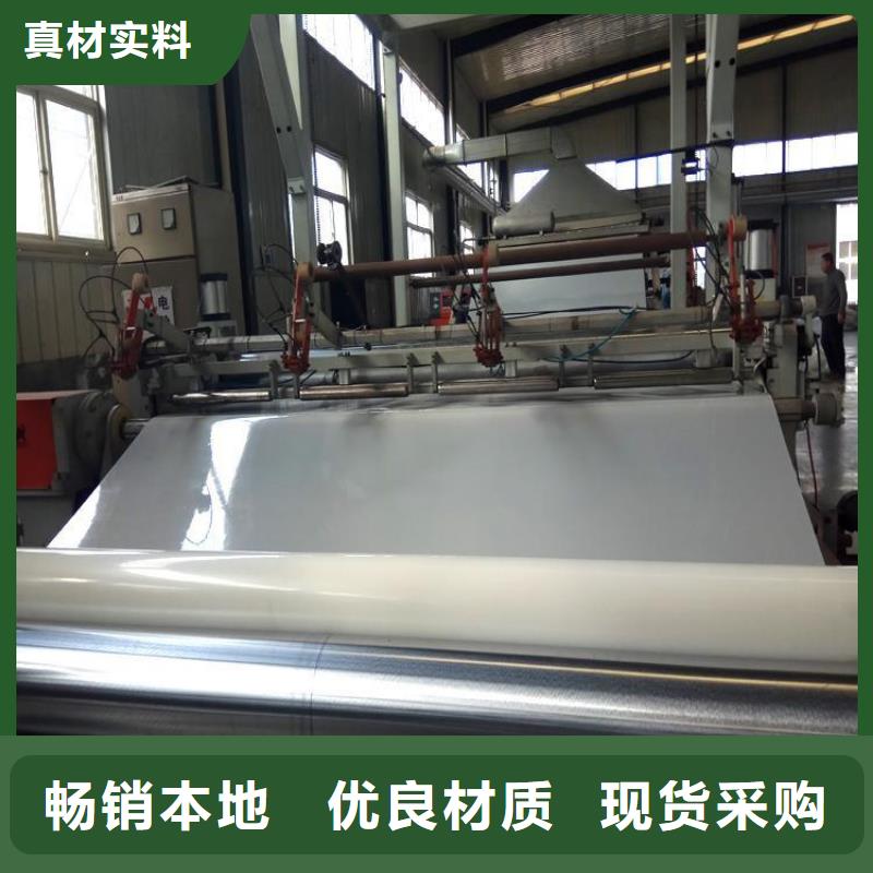 防水板玻璃纖維土工格柵廠家直銷規格多樣